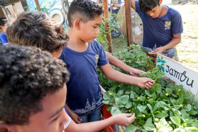 Agricultura familiar gera renda e garante qualidade na merenda escolar
