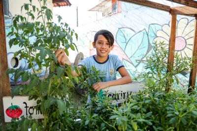 Agricultura familiar gera renda e garante qualidade na merenda escolar