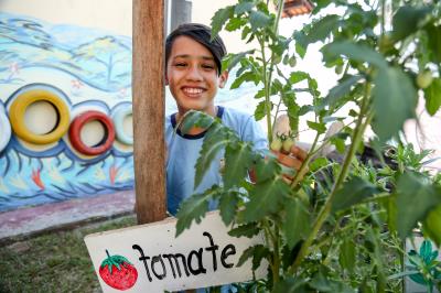 Agricultura familiar gera renda e garante qualidade na merenda escolar