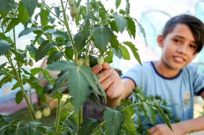Agricultura familiar gera renda e garante qualidade na merenda escolar