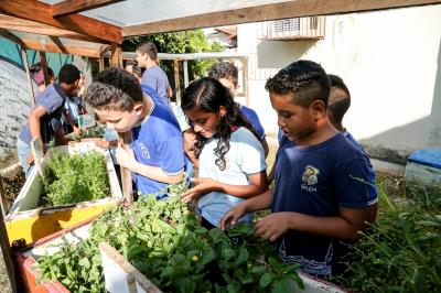 Agricultura familiar gera renda e garante qualidade na merenda escolar