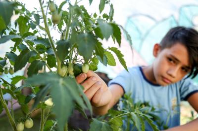 Agricultura familiar gera renda e garante qualidade na merenda escolar