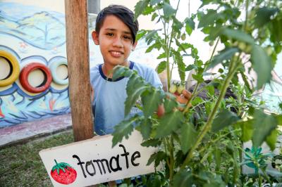 Agricultura familiar gera renda e garante qualidade na merenda escolar