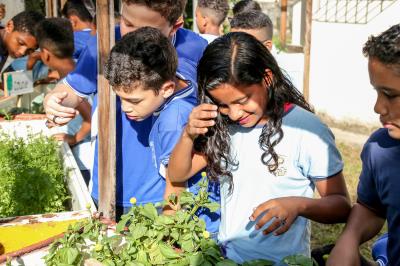 Agricultura familiar gera renda e garante qualidade na merenda escolar