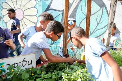 Agricultura familiar gera renda e garante qualidade na merenda escolar