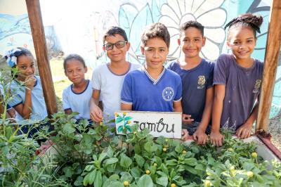 Agricultura familiar gera renda e garante qualidade na merenda escolar