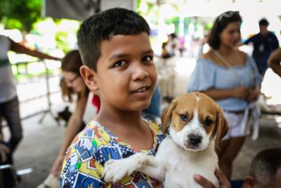 Praça da República recebeu a 57ª Feira de Adoção de Cães e Gatos neste domingo