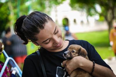 Praça da República recebeu a 57ª Feira de Adoção de Cães e Gatos neste domingo