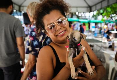 Praça da República recebeu a 57ª Feira de Adoção de Cães e Gatos neste domingo