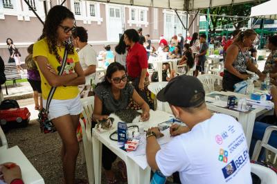 Praça da República recebeu a 57ª Feira de Adoção de Cães e Gatos neste domingo
