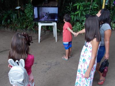 Belém 404 anos - Programação do Bosque Rodrigues Alves