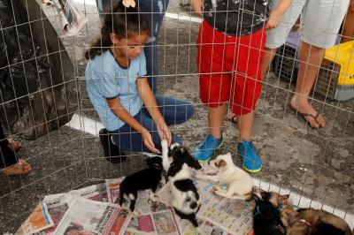 Belém 404 Anos - Feira de Adoção de Cães e Gatos - parte 2