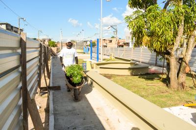 Florir Belém é lançado com previsão de plantio de 20 mil espécies até o final do ano