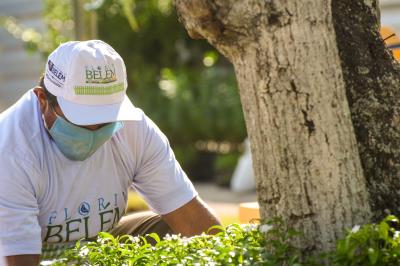Florir Belém é lançado com previsão de plantio de 20 mil espécies até o final do ano