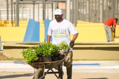 Florir Belém é lançado com previsão de plantio de 20 mil espécies até o final do ano