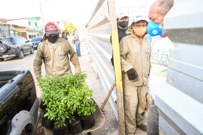Florir Belém é lançado com previsão de plantio de 20 mil espécies até o final do ano
