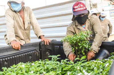 Florir Belém é lançado com previsão de plantio de 20 mil espécies até o final do ano