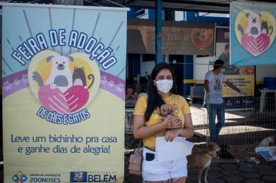 Prefeitura promove mais uma edição da feira de adoção de cães e gatos