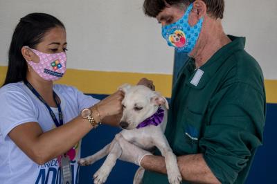Prefeitura promove mais uma edição da feira de adoção de cães e gatos