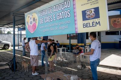 Prefeitura promove mais uma edição da feira de adoção de cães e gatos