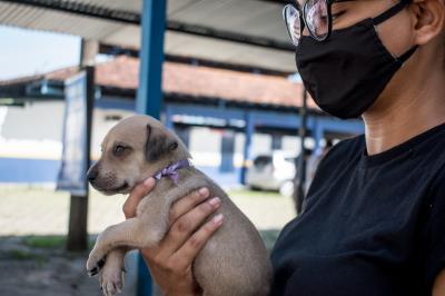 Prefeitura promove mais uma edição da feira de adoção de cães e gatos