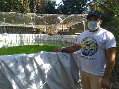Cresce a produção de piscicultura na ilha de Cotijuba