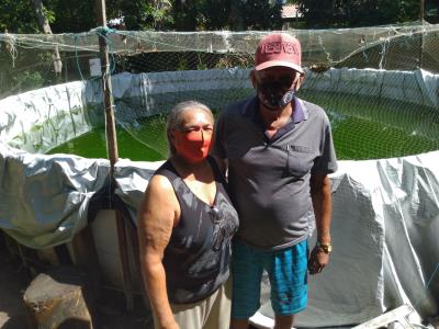 Cresce a produção de piscicultura na ilha de Cotijuba