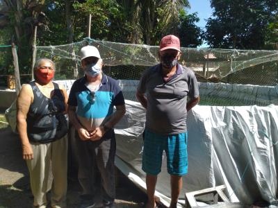 Cresce a produção de piscicultura na ilha de Cotijuba