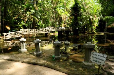 Reabertura do Bosque em tempos de Pandemia 