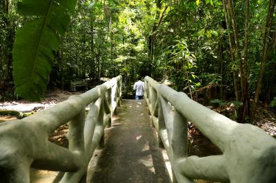 Reabertura do Bosque em tempos de Pandemia 