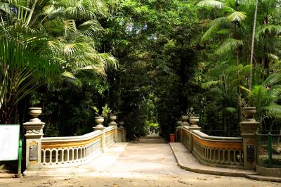 Reabertura do Bosque em tempos de Pandemia 