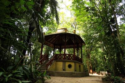 Reabertura do Bosque em tempos de Pandemia 