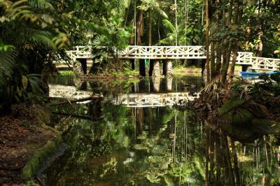 Reabertura do Bosque em tempos de Pandemia 