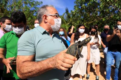Prefeitura realiza soltura de 27 tracajás na ilha de Jutuba