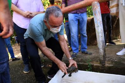 Prefeitura realiza soltura de 27 tracajás na ilha de Jutuba