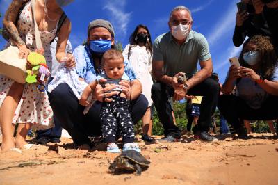 Prefeitura realiza soltura de 27 tracajás na ilha de Jutuba