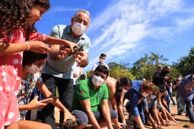 Prefeitura realiza soltura de 27 tracajás na ilha de Jutuba