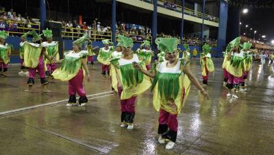 Carnaval 2024 - Escola de Samba Rosa da Terra Firme 