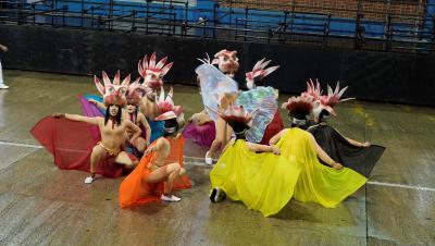 Carnaval 2024 - Associação Carnavalesca Alegria Alegria