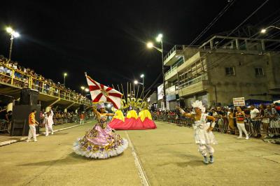 Carnaval 2024 - Associação Carnavalesca Cacareco