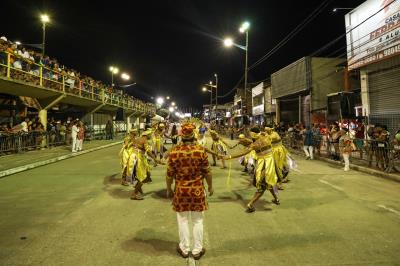 Carnaval 2024 - Associação Carnavalesca Cacareco