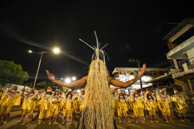 Carnaval 2024 - Associação Carnavalesca Cacareco
