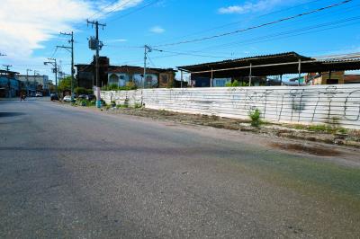 Mutirão de coleta de lixo - Domingo de limpeza nos bairros