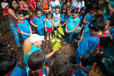 Novas araras são atração no Bosque Rodrigues Alves 