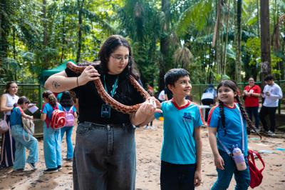 Novas araras são atração no Bosque Rodrigues Alves 