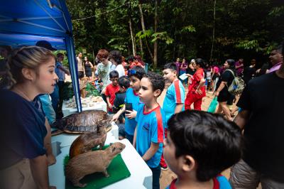 Novas araras são atração no Bosque Rodrigues Alves 