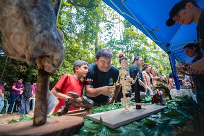 Novas araras são atração no Bosque Rodrigues Alves 