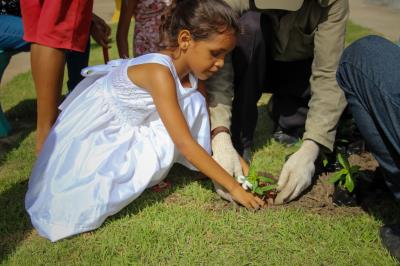 Projeto Florir Belém arboriza residencial Viver Primavera