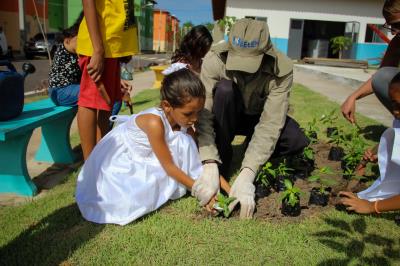 Projeto Florir Belém arboriza residencial Viver Primavera