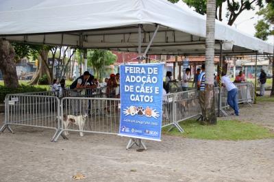Feira de Adoção de Cães e Gatos atrai moradores do bairro da Marambaia
